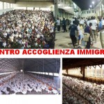 Gli immigrati nei Cei ammassati come polli