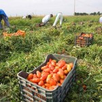 Un paese allo sfascio senza immigrati